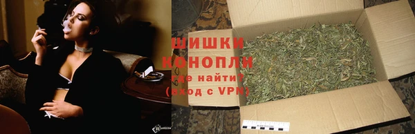 индика Баксан