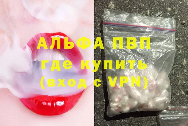индика Баксан