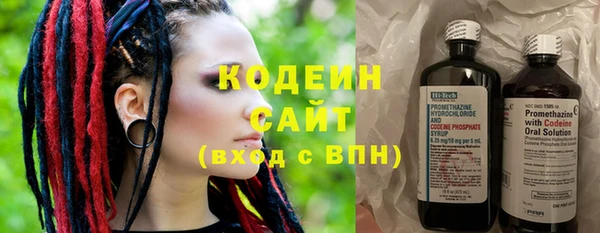 индика Баксан