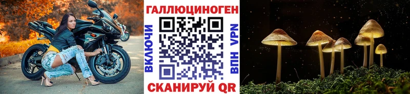 Галлюциногенные грибы мицелий Глазов