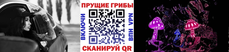 Купить  Глазов  Псилоцибиновые грибы Psilocybine cubensis 